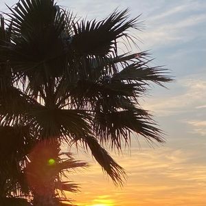 Meet your Posher, BirdieGirl